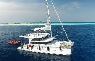 Dive Boat for sale - GREAT OPPORTUNITY - 50' DIVE SAIL CATAMARAN 