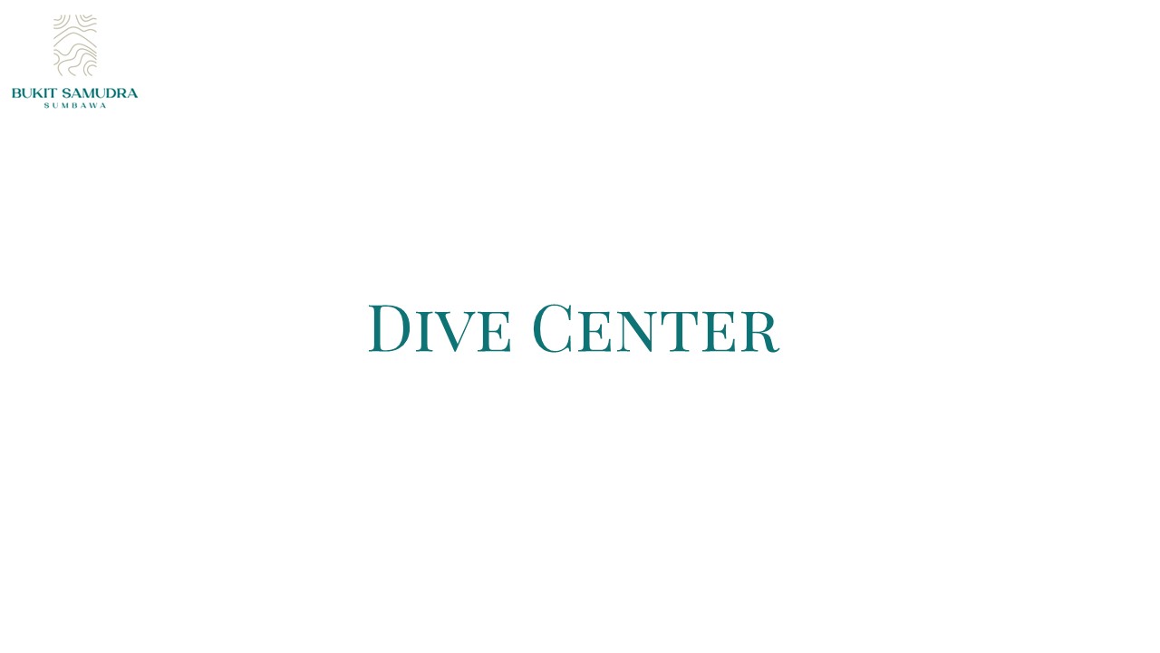 Dive Center For Sale - Investment Opportunity for a new dive center opening in 2023-2024