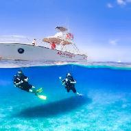 Dive Center for sale - Top rated and profitable  dive shop on St Thomas for sale 