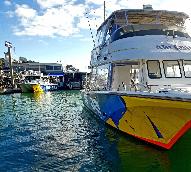 Dive Boat for sale - 5 Star Dive and Marine Tourist Center 4 sale in Hervey Bay, Queensland, Australia