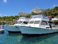 Dive Center for sale - Come to Paradise and live the Dream!  48 year old SSI Diamond Dive Center on exclusive island.