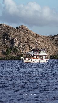 Dive Boat for sale - Komodo Liveaboard 