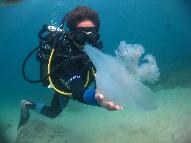 Dive Center for sale - Complete dive and watersport centre for sale Tofo Mozambique