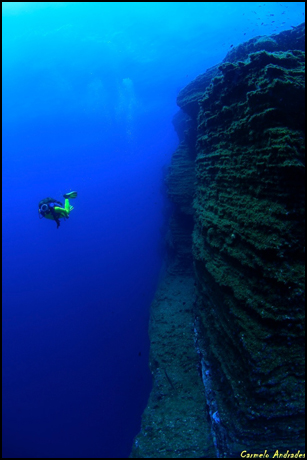 Dive Center For Sale - Great opportunity!! Diving Center in El Hierro, Canary Islands (Spain)