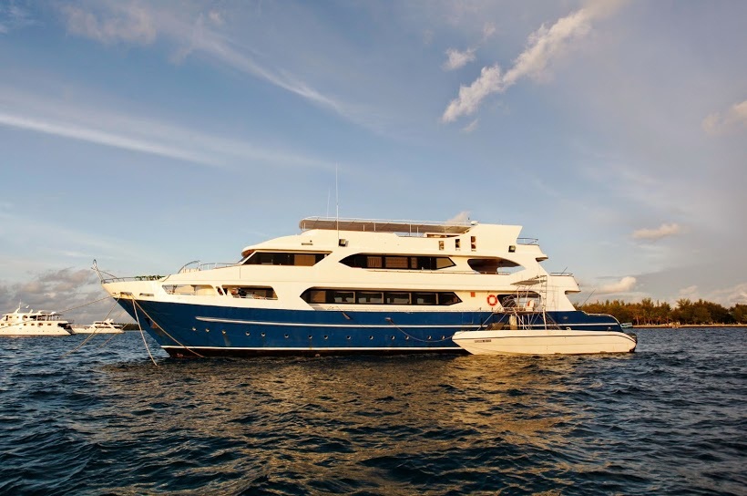 Dive Center For Sale - Liveaboard for sale, 35m, renewal 2014 by Almaroon