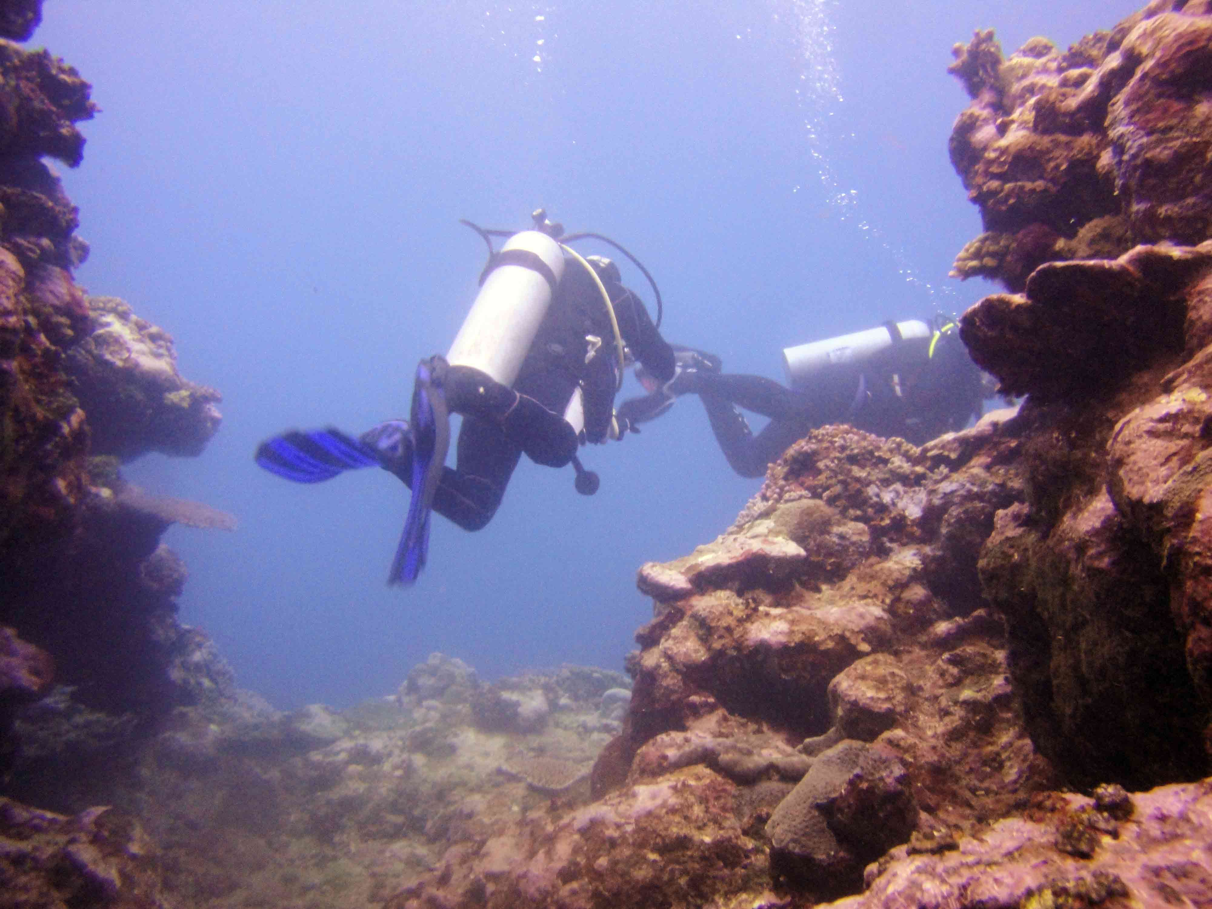 Dive Center For Sale - PADI 5 Star Dive Resort, Fiji Islands