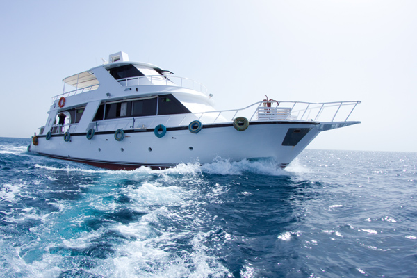 Dive Center For Sale - Sharm el Sheikh Safari Boat for Sale