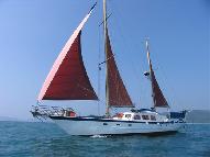 Dive Boat for sale - Famous divecharter sailing yacht SY COLONA II - REDUCED PRICE
