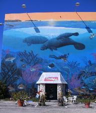 Dive Center for sale - SOLD