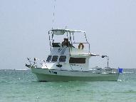 Dive Boat for sale - Full Service Established Dive Charter and Training Operation