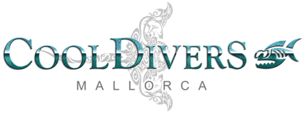Dive Center For Sale - Cool Divers Dive Center and BOND-Safari for sale