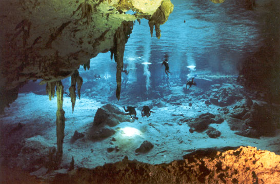 Dive Center For Sale - Premium Location Dive Center Playa del Carmen Mexico