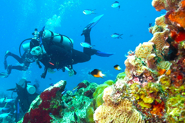 Dive Center For Sale - Premium Location Dive Center Playa del Carmen Mexico