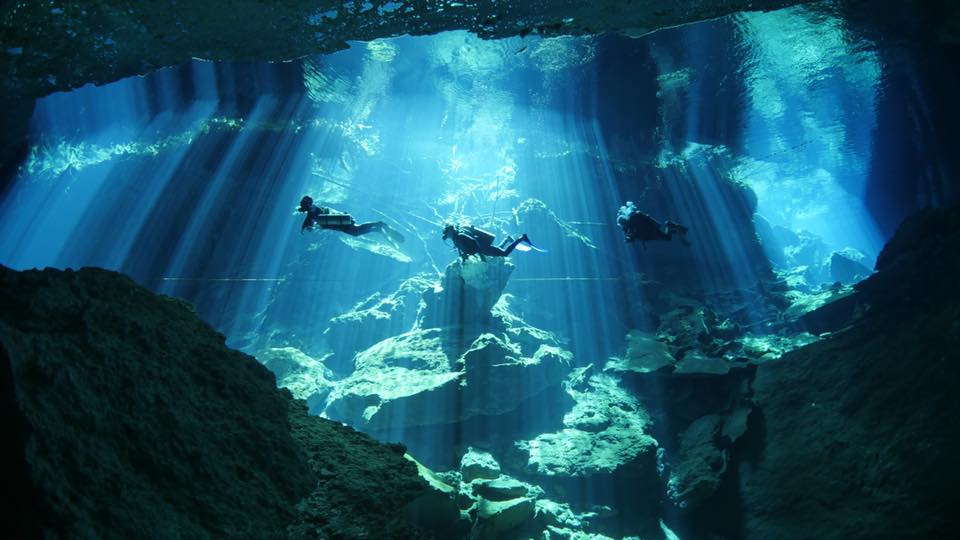 Dive Center For Sale - Beautiful Puerto Morelos, Mexico PADI 5 Star Dive Center 