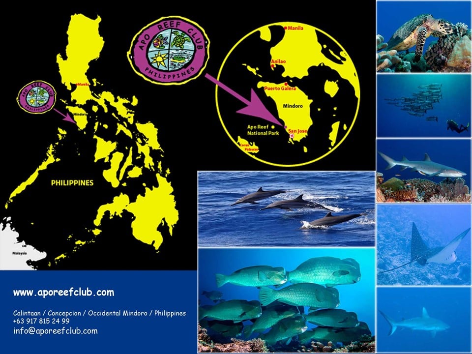 Dive Center For Sale - beach and dive resort in the philippines for sale